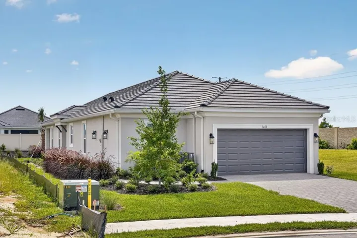 3816 Immacolata ~ Ready Now