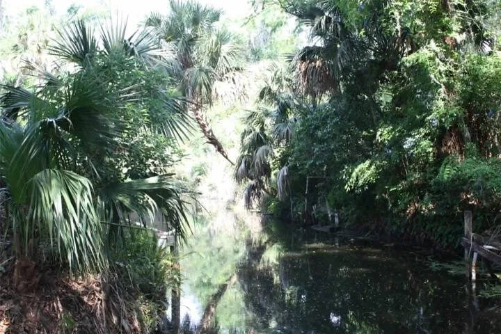 Canal