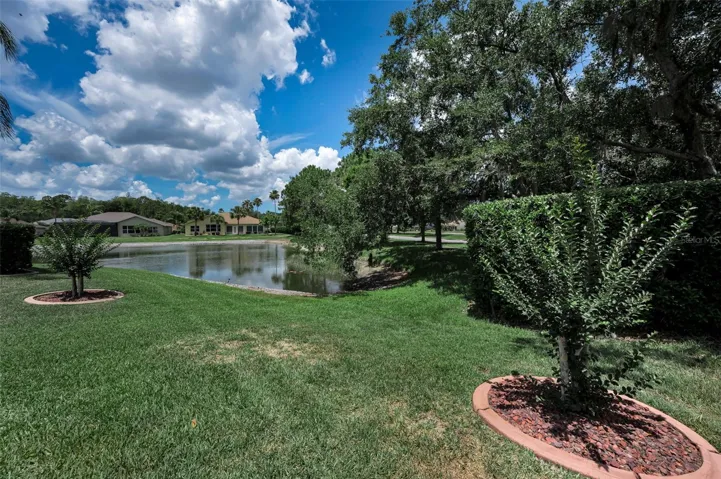 Corner pond view in backyard by pool area