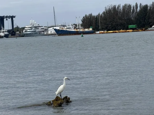 View from a spoil island nearby- facing Derecktor shipyard