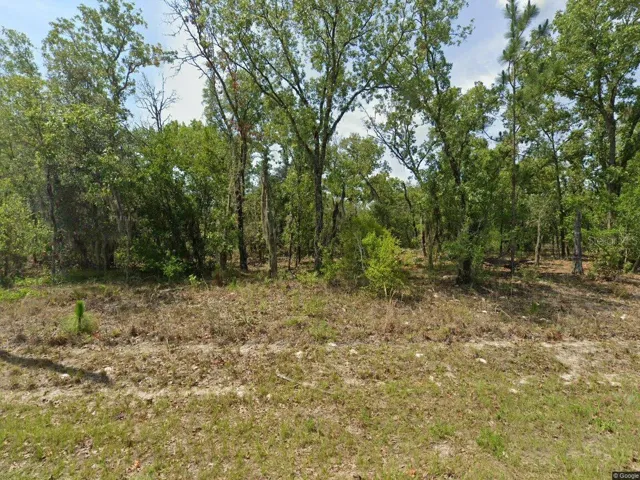 1900 W Magenta Drive