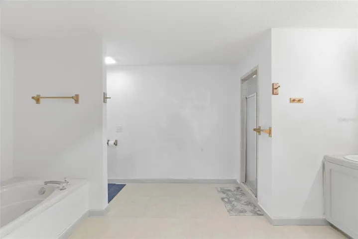 Owner's Bath