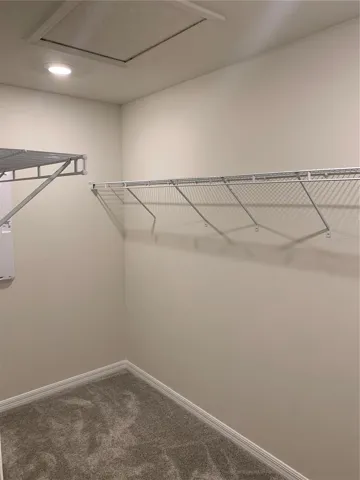 Walk-in Closet