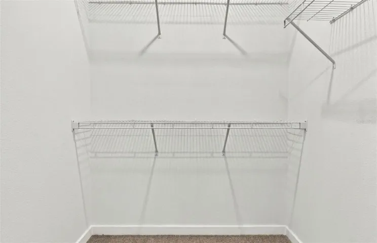 Owner's Walk-in Closet