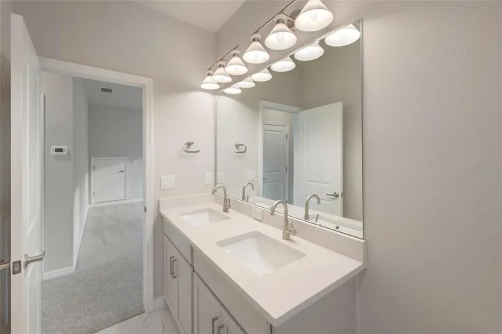Owner's Bath