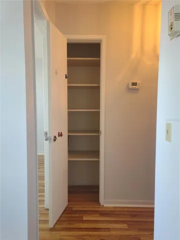 Closet Storage in Hallway