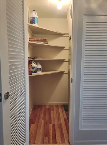 Closet Storage in Hallway