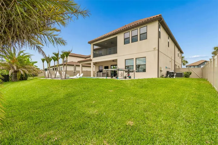 Lush grass in the Spacious Back Yard