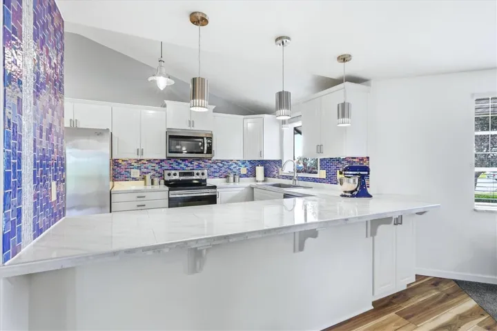 Venice Gardens Lakefront Home Updated Kitchen