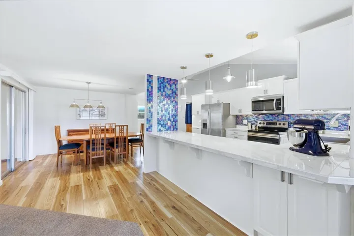 Venice Gardens Lakefront Home Updated Kitchen