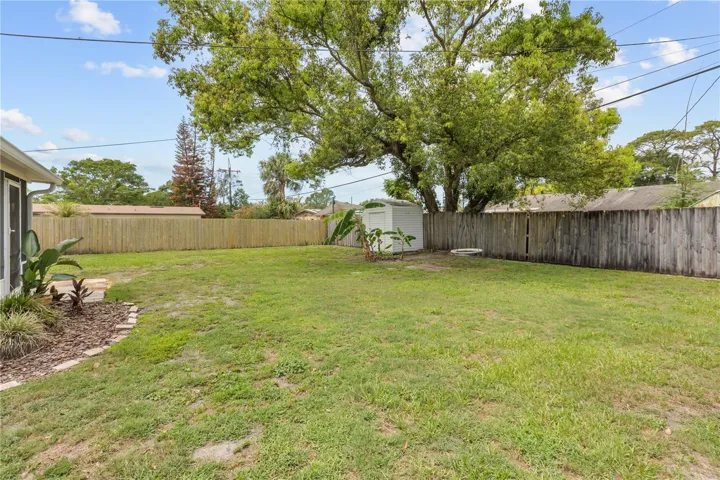 Backyard