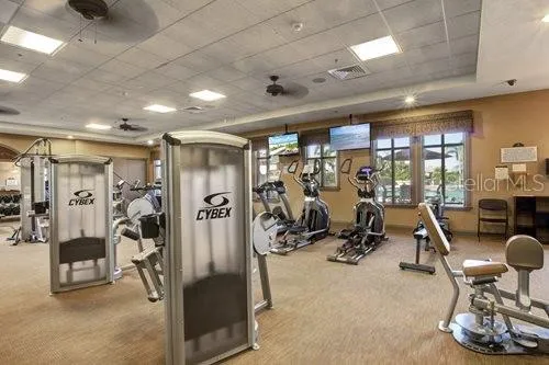 Fitness