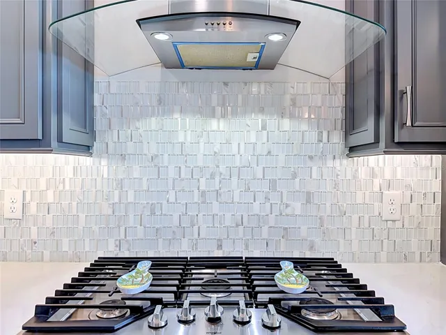 Gas Stove