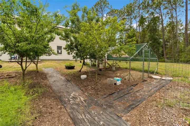 Food Forest/Chicken Coop
