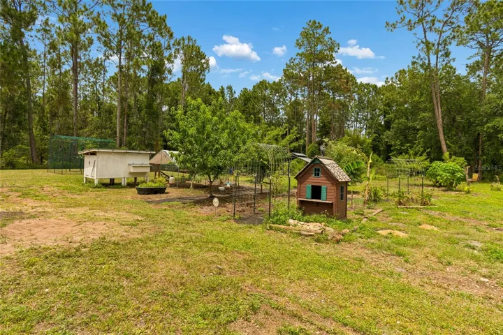 Back Yard Food Forest