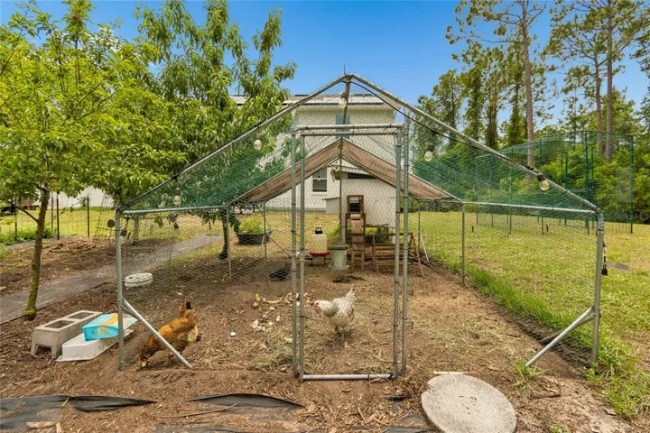 Food Forest/Chicken Coop
