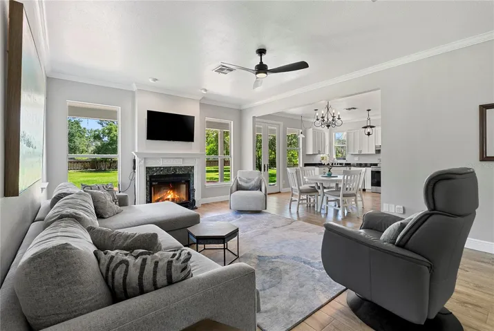 Living Room and Fireplace