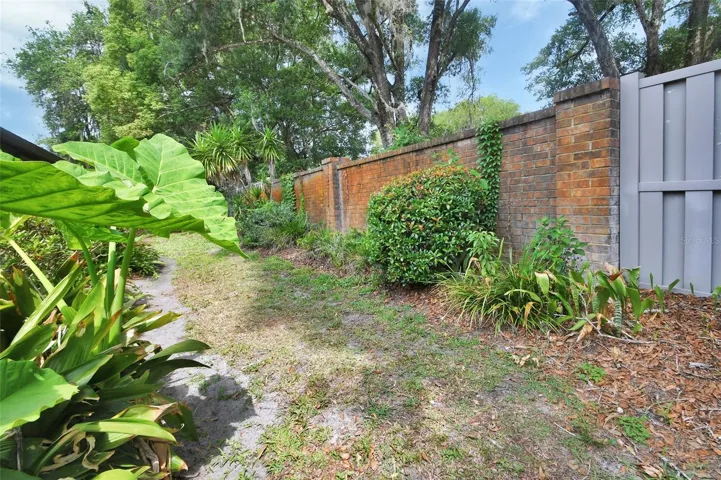 Backyard.