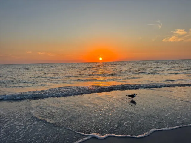 Cross over the blvd to see beautiful sunsets from you condo