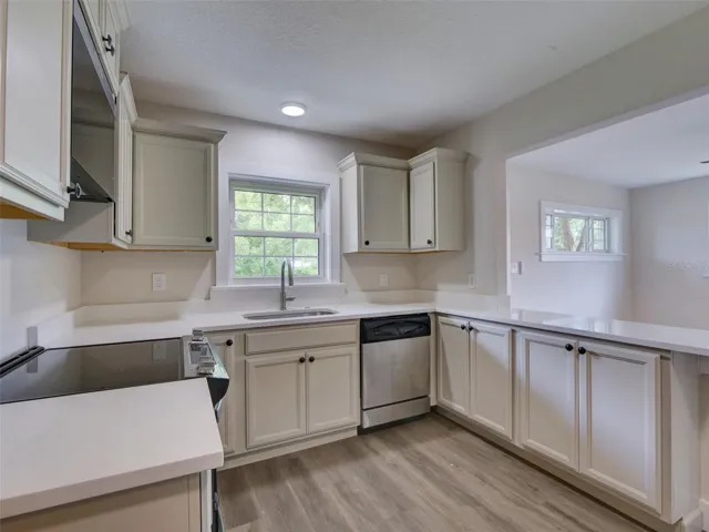 Kitchen window