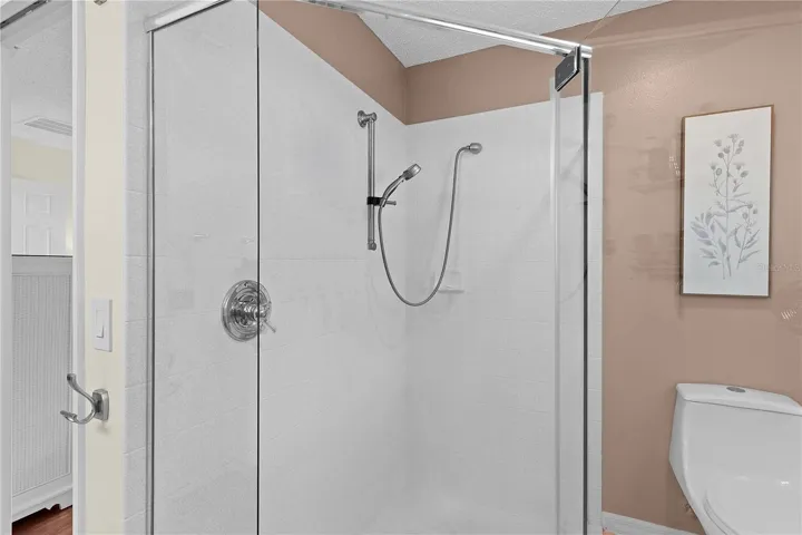Primary Shower