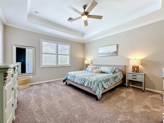 Primary bedroom with Trey ceiling and plantation shutters.