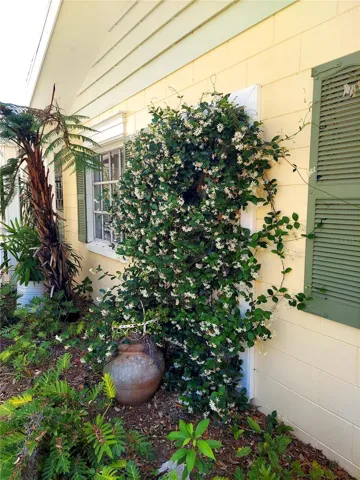 Front right-side of house