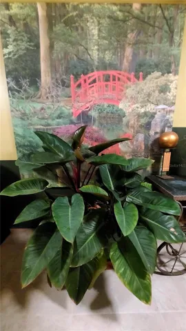 Artwork in Hottub area