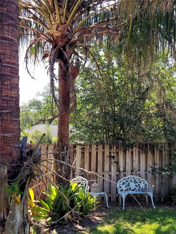 Backyard Corner