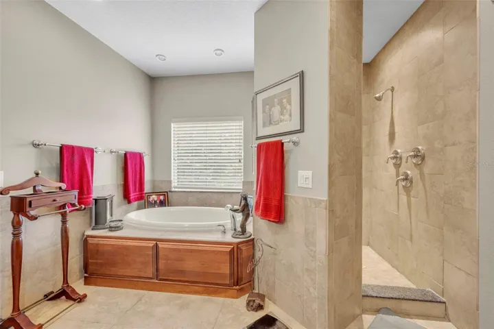 Spa Tub and Separate Shower