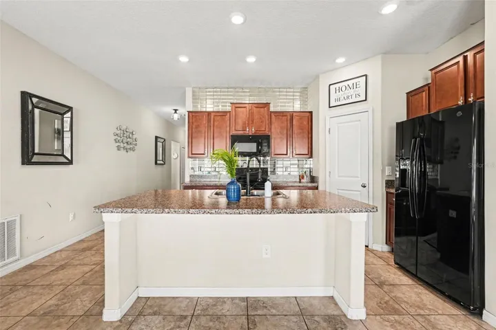 1733 Broad Winged Hawk Drive, Ruskin FL 33570 - Kitchen