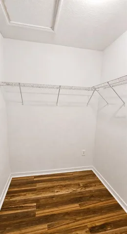 Primary Walk-In Closet
