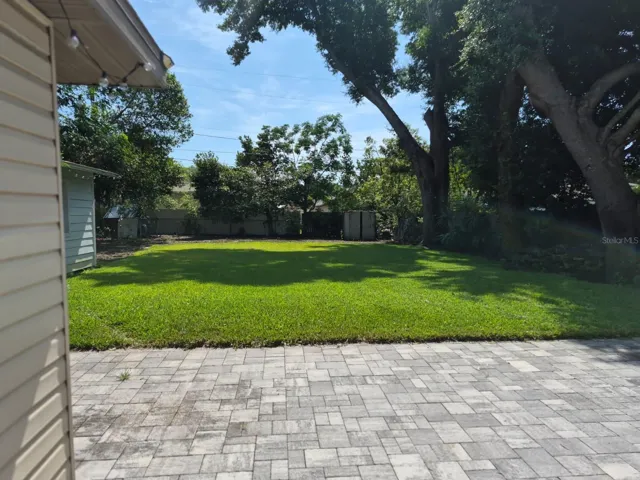 back yard