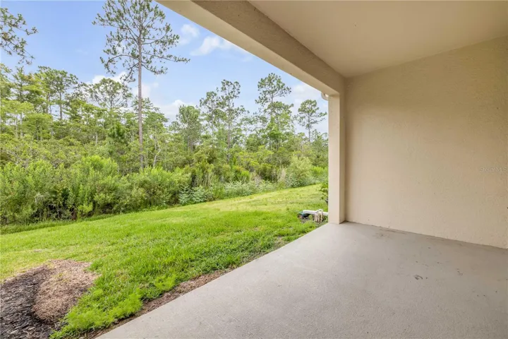 Covered Back Patio