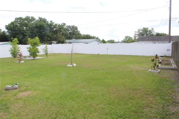 Fence in yard