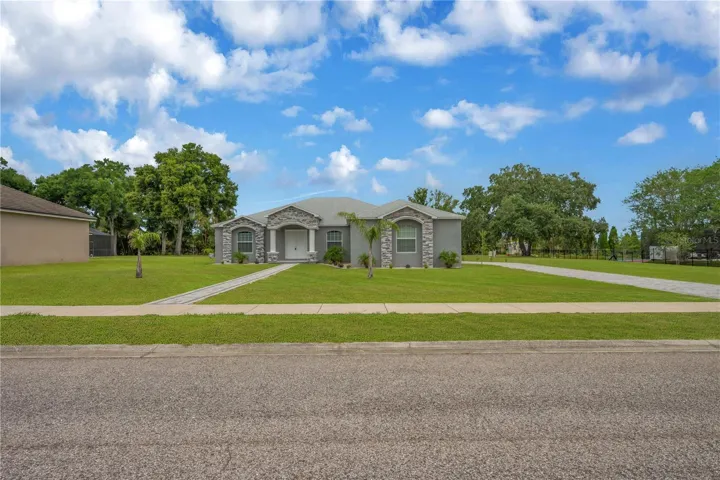Virtually Edited Lawn