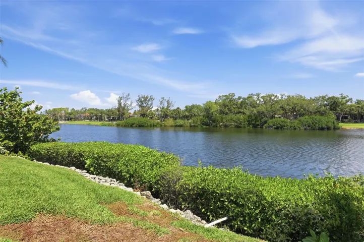 Lagoon behind the house Inland water