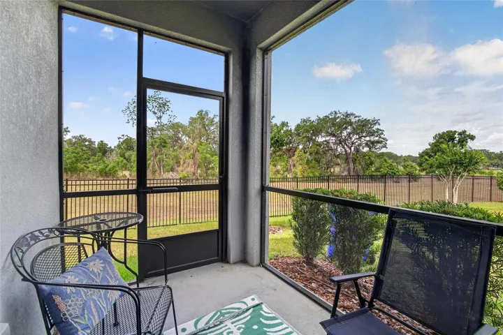 Screen Patio