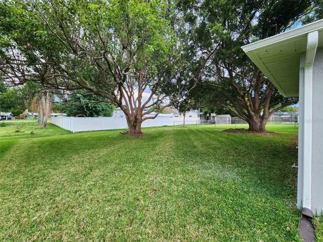 spacious shaded backyaard