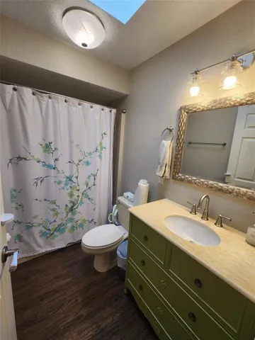 Hall bathroom with skylight