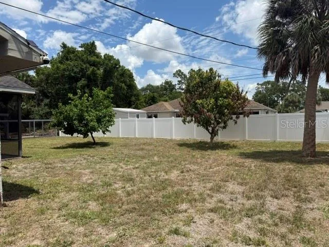 Back Yard