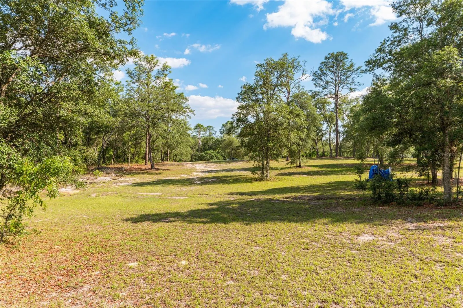 the rest of the 2.5 acres