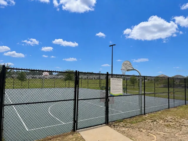 Basketball court