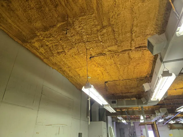 Ceiling Insulation