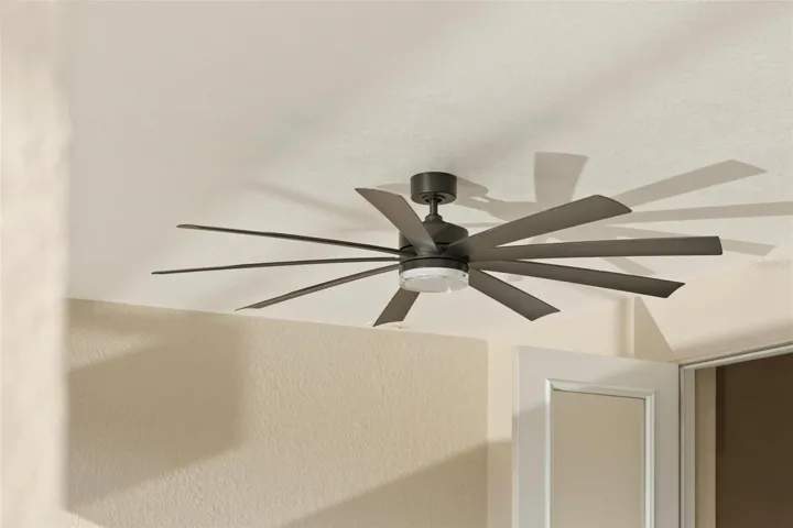 lanai fan