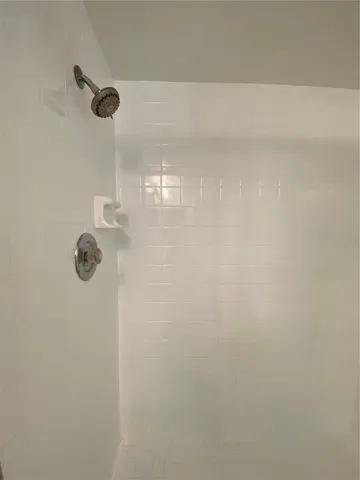 Master Bathroom Shower