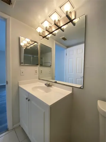 Master Bathroom Vanity
