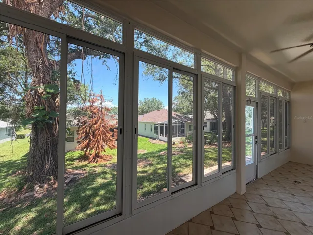 Back Patio and Back Yard