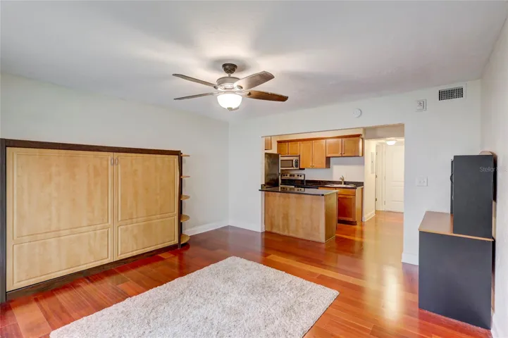 living/bedroom with Murphy bed