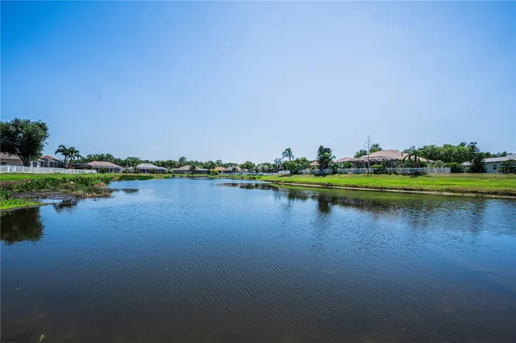 Pond